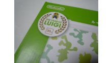 3DS XL Luigi images screenshots 05