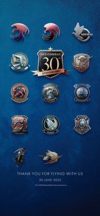 Ace Combat 30e anniversaire logos 30 06 2025