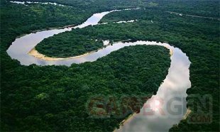 amazon rainforest.
