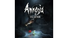 Amnesia-Collection_logo