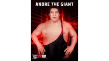Andre-The-Giant