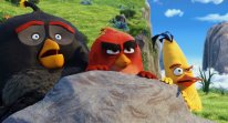 Angry Birds film movie head
