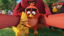 Angry-Birds-Le-Film_head