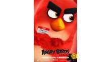 Angry-Birds-Le-Film_poster-1