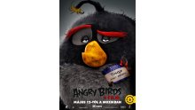 Angry-Birds-Le-Film_poster-3
