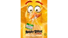 Angry-Birds-Le-Film_poster-5