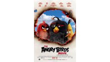 Angry-Birds-Le-Film_poster-6