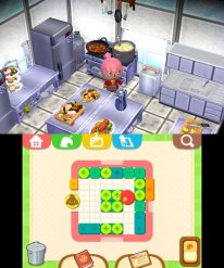 Animal Crossing Happy Home Designer 01 09 2015 screenshot ang (21)