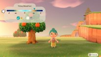 Animal Crossing New Horizons 33 30 10 2025