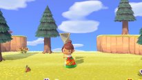 Animal Crossing New Horizons Mexique 2