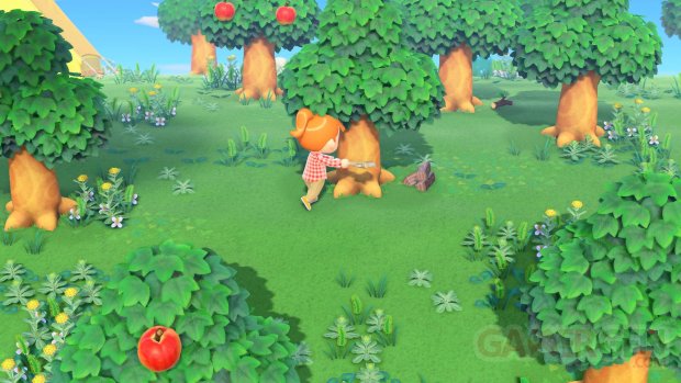 Animal Crossing New Horizons screenshot (10)