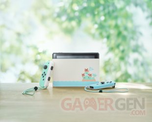 Animal Crossing New Horizons Switch edition collector images (10)