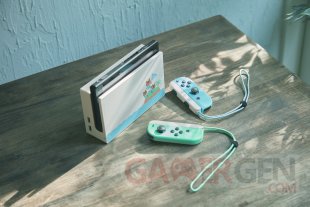 Animal Crossing New Horizons Switch edition collector images (11)