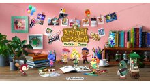 Animal Crossing Pocket Camp