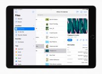 Apple iPad 10 2 inch Files 09142021