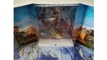 Assassin-Creed-Origins-collector-Dawn-of-the-Creed-unboxing-déballage-25-31-10-2017