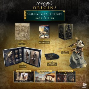 Assassin Creed Origins collector Gods edition