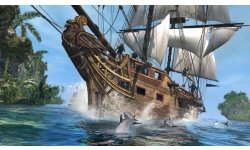 Assassin\'s Creed IV Black Flag 22.08.2013 (2)
