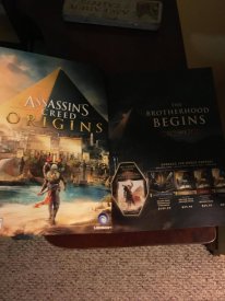 Assassin's Creed Origins 09 06 2017 leak 5