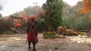 Assassin's Creed Shadows 01 02 12 2025