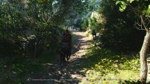 Assassin's-Creed-Shadows-03-09-04-2025