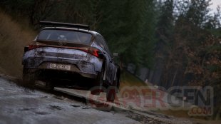 Assetto Corsa Rally04