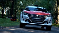 Assetto Corsa Rally09