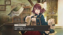 Atelier Sophie Screenshot 17-11-15 (28)