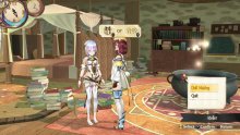 Atelier Sophie The Alchemist of the Mysterious Book Launch Trailer 07-06-16 (2)