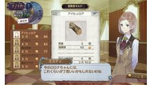 Ateliera Rorona PLus 3DS 27