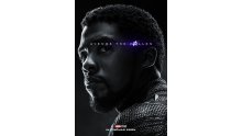 Avengers Endgame Poster Affiche Teaser (14)