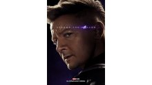 Avengers Endgame Poster Affiche Teaser (27)