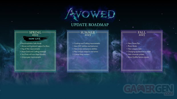avowed roadmap 2025