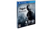 Batman Arkham Origins Blackgate