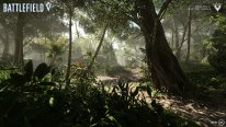 Battlefield V Chapitre 6 Dans la Jungle screenshot 2