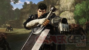 Berserk and the Band of the Hawk images