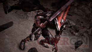 Berserk Musou images (2)