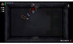 binding isaac rebirth afterbirth screenshot 03