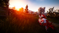 Black Desert Online BDO Steam (1)