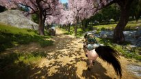 Black Desert Online BDO Steam (2)