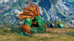 Blamka Street Fighter V Arcade Edition images (4)