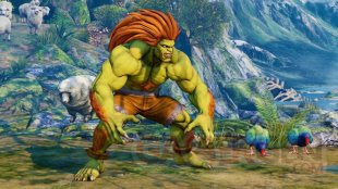 Blamka Street Fighter V Arcade Edition images (7)