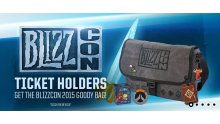 Blizzard Blizzcon Gear Goodies