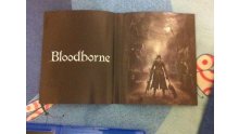 Bloodborne (6)
