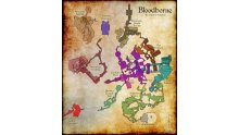 Bloodborne custom carte 3