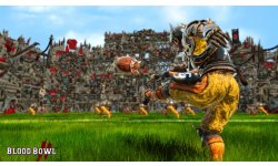 Bloodbowl2 01