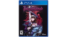 Bloodstained-Ritual-of-the-Night_23-02-2019_jaquette-2