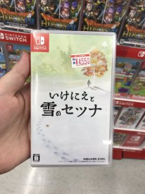 Boite Nintendo Switch Japon GaijinHunter (19)
