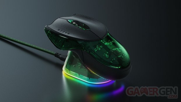 Boomslang 20th Anniversary Edition (4)