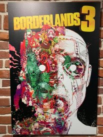 Borderlands 3 Comic Con Jaquette alternatives (21)